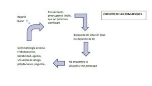 circuito de las rumiaciones